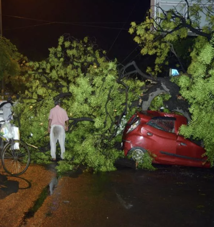 दिल्ली-एनसीआर में भयंकर तूफान, बारिश और ओलावृष्टि ने जनजीवन को अस्त-व्यस्त कर दिया: पेड़ उखड़ गए, यातायात ठप हो गया, बिजली गुल हो गई